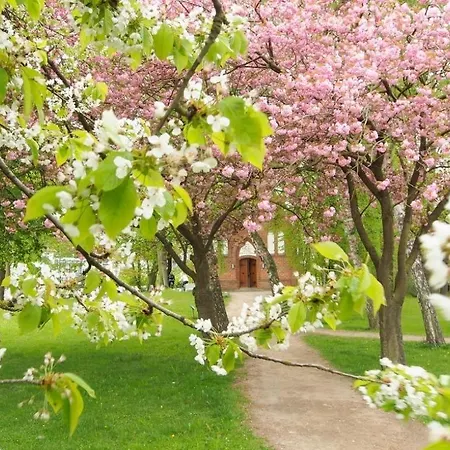 Goosbrink Whg 22 Appartement *