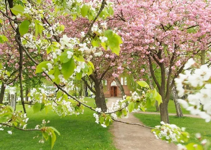 Goosbrink Whg 22 Apartamento